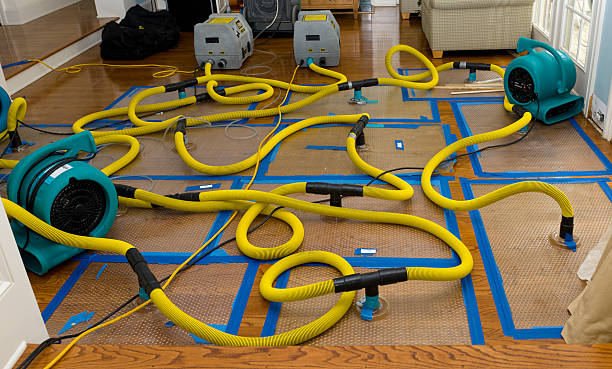 Professional Sewage Cleanup technician working in Robbins, TN