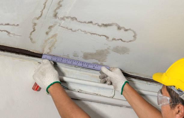 Affordable Water Damage Repair solutions in Robbins, TN